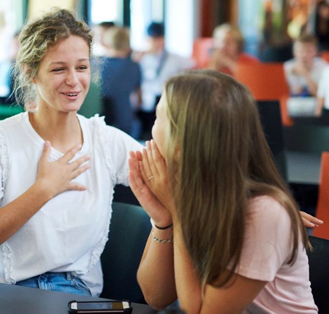 DSC3498 1 1024X683 (1)