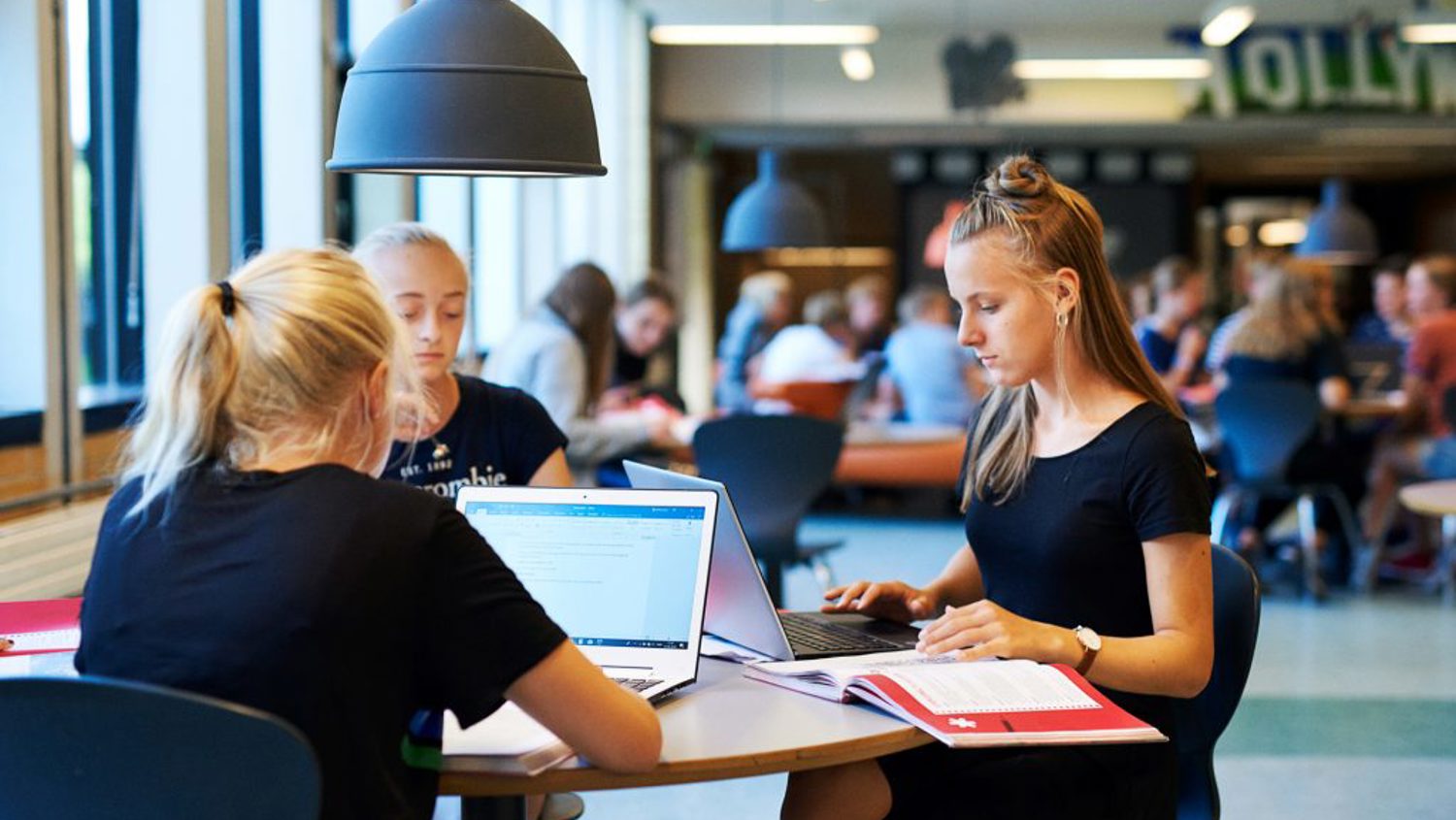 DSC3411 1024X683 (1)