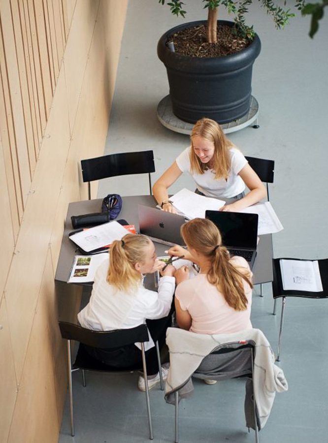 DSC4480 LOWRES 1024X683