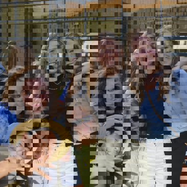 240598246 4259794807401714 6794096559633550195 N