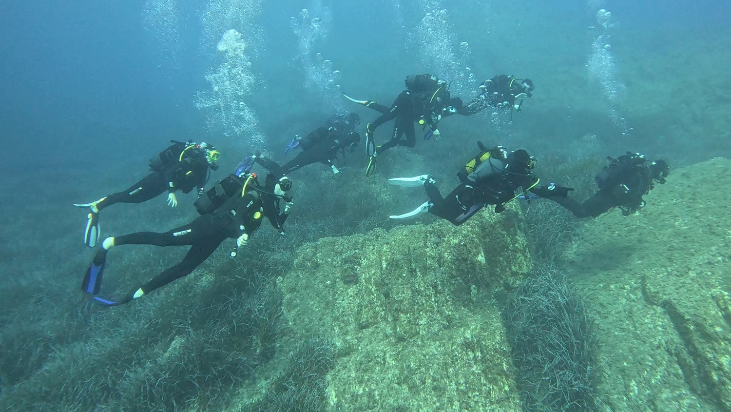 Thumbnail 965E1135 A813 4C44 B71C 6DCDA7091042