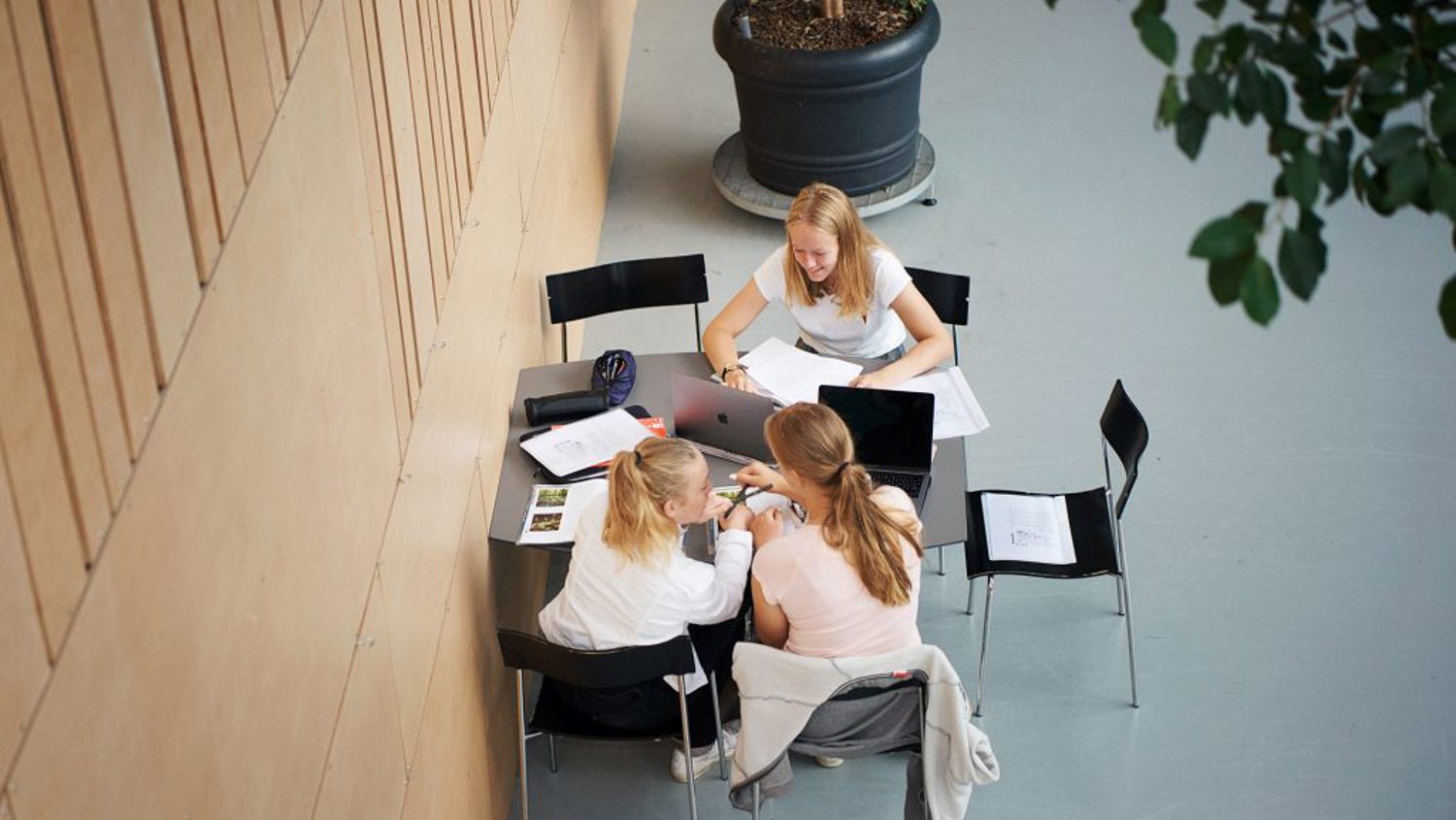 DSC4480 LOWRES 1024X683